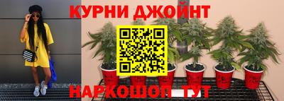 эйфоретик Новокубанск