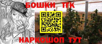 эйфоретик Новокубанск