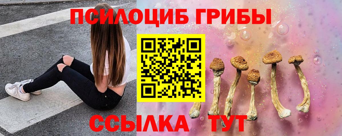 Псилоцибиновые грибы GOLDEN TEACHER  Вход с VPN  Севастополь 